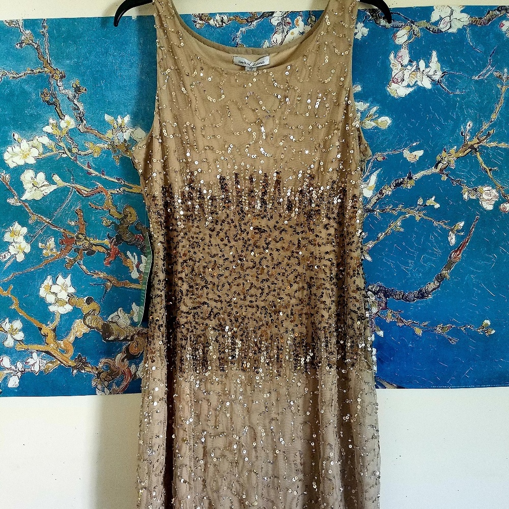 Simply Liliana Sparkly Dress